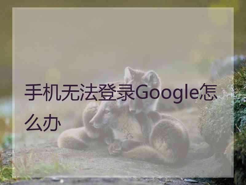 手机无法登录Google怎么办