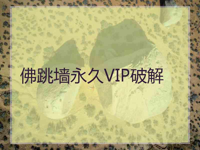 佛跳墙永久VIP破解