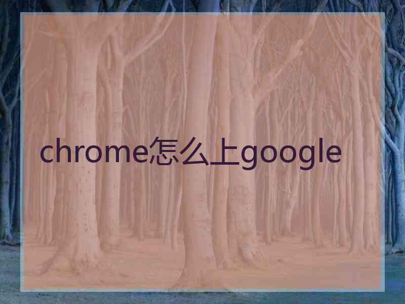 chrome怎么上google