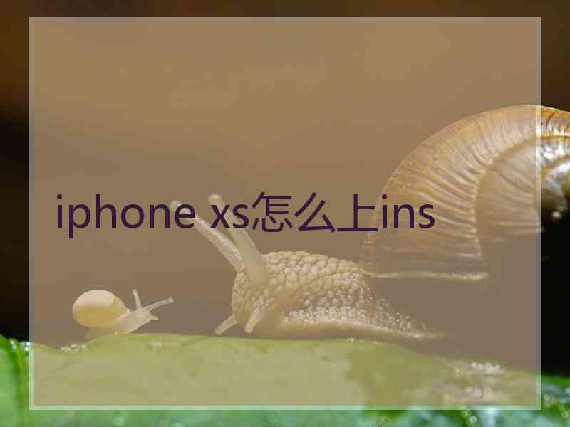 iphone xs怎么上ins