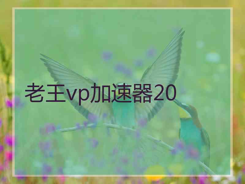 老王vp加速器20