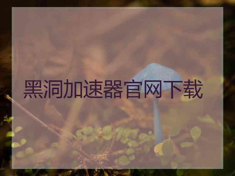 黑洞加速器官网下载