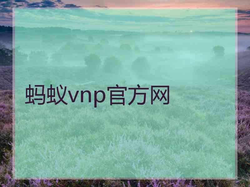 蚂蚁vnp官方网