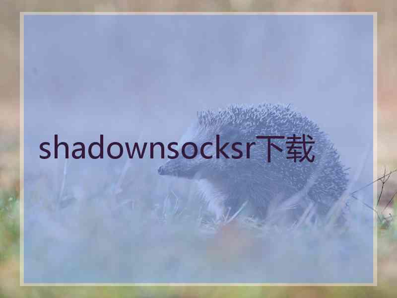 shadownsocksr下载