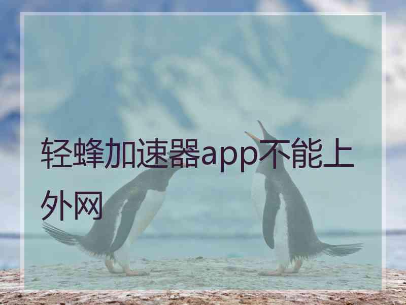 轻蜂加速器app不能上外网