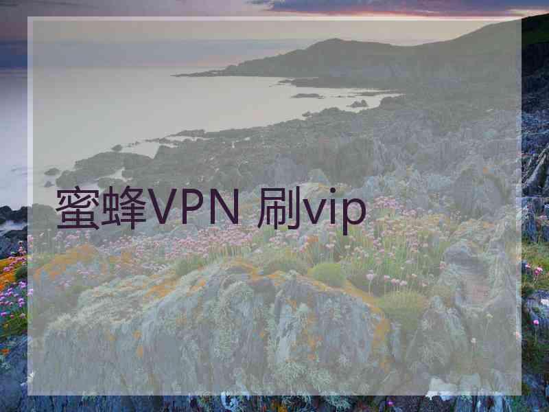 蜜蜂VPN 刷vip