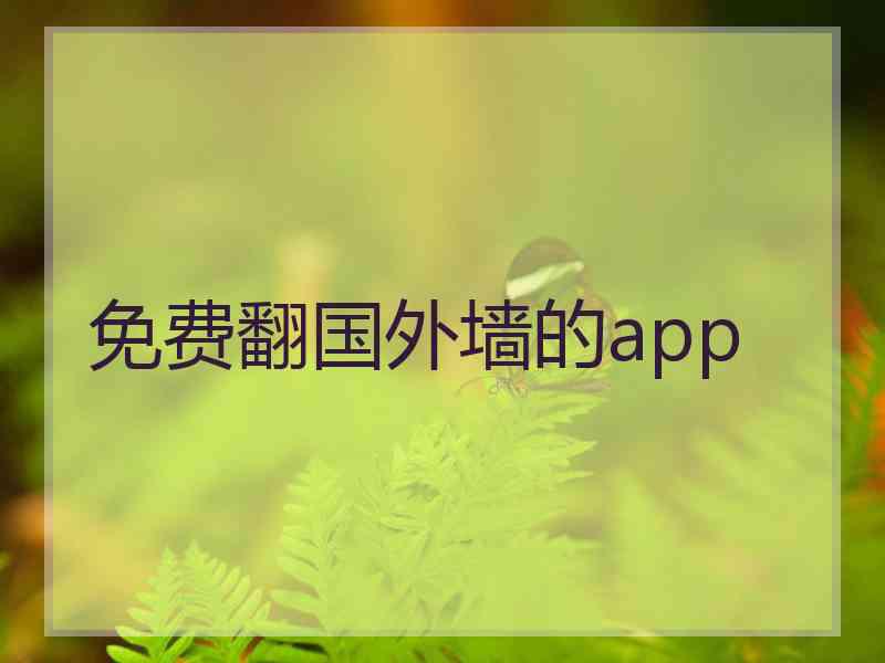 免费翻国外墙的app