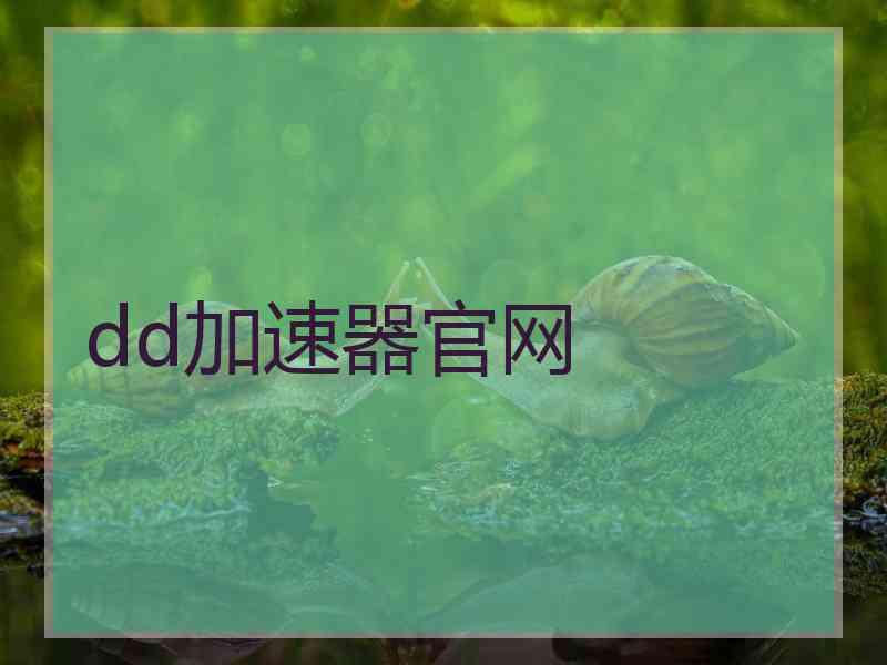 dd加速器官网