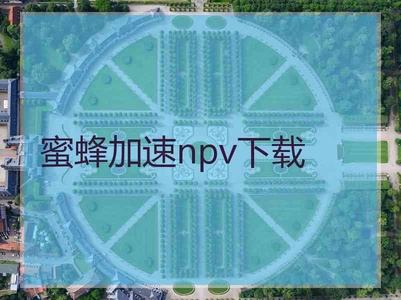 蜜蜂加速npv下载