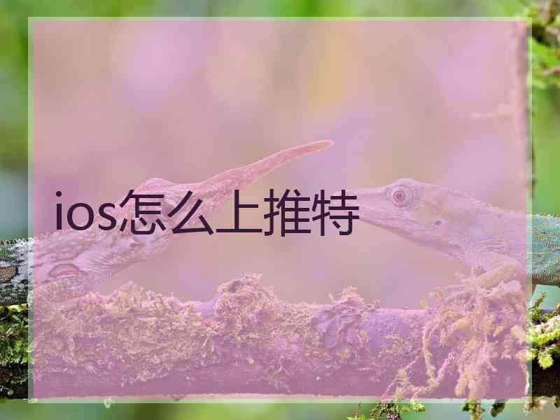 ios怎么上推特