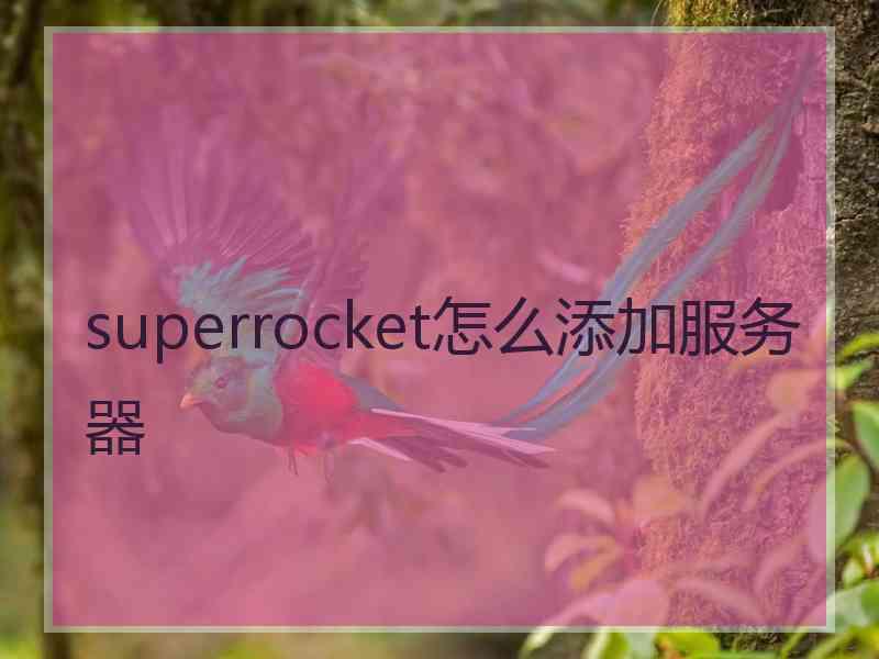 superrocket怎么添加服务器