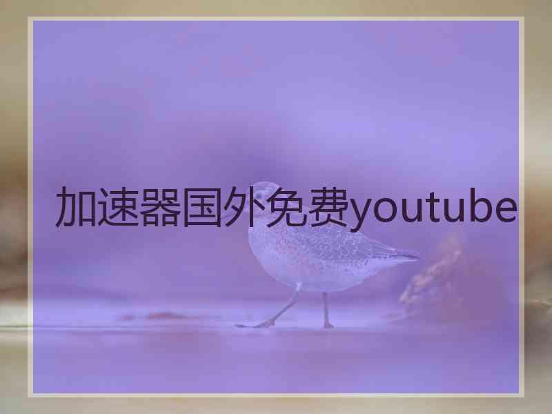 加速器国外免费youtube