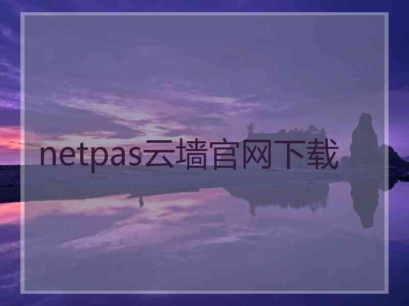 netpas云墙官网下载