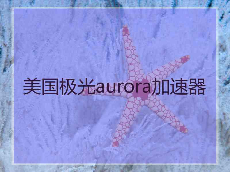 美国极光aurora加速器