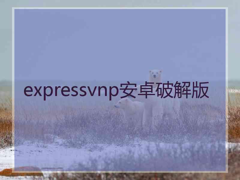 expressvnp安卓破解版