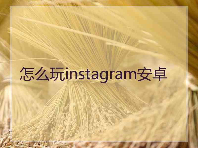 怎么玩instagram安卓