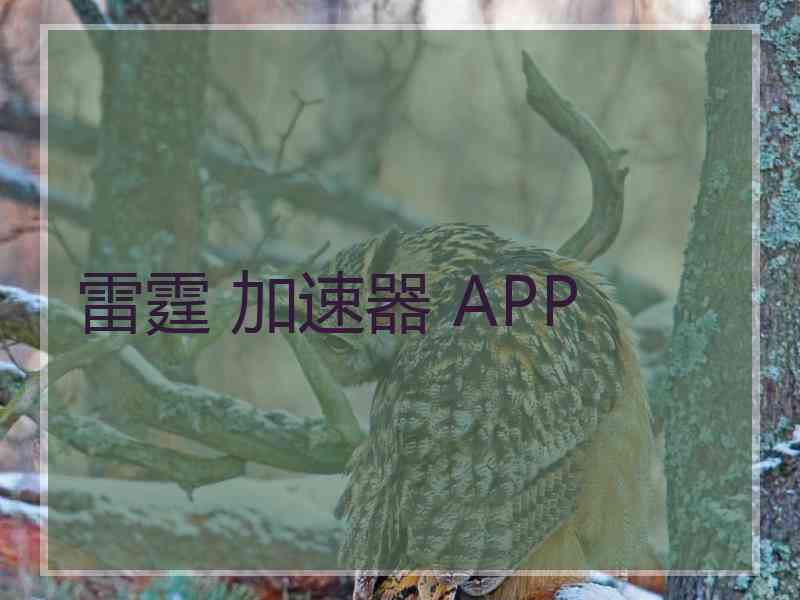 雷霆 加速器 APP