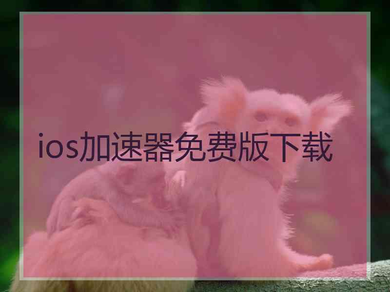 ios加速器免费版下载