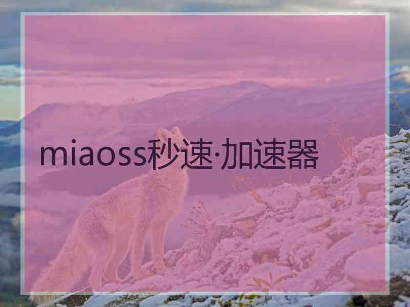 miaoss秒速·加速器