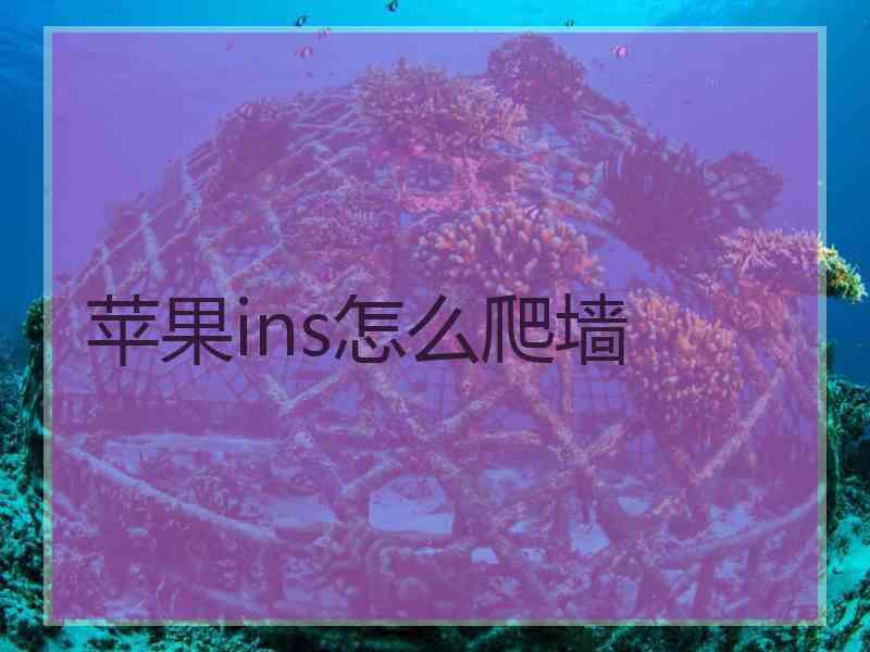 苹果ins怎么爬墙