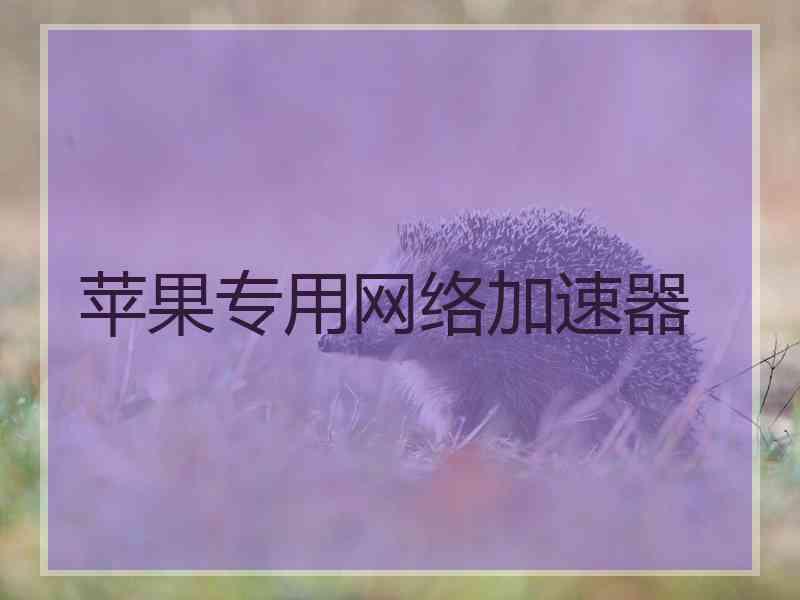 苹果专用网络加速器