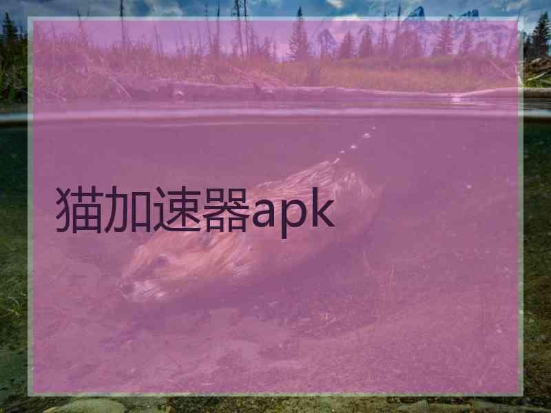 猫加速器apk