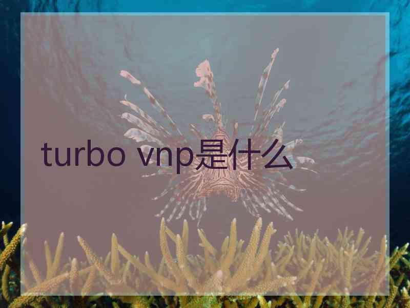 turbo vnp是什么