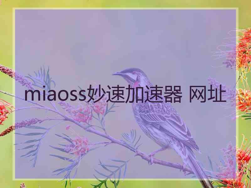 miaoss妙速加速器 网址