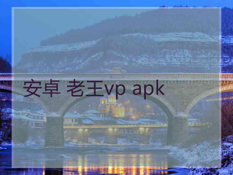 安卓 老王vp apk