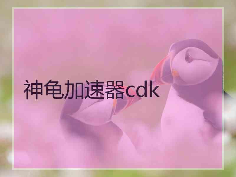 神龟加速器cdk