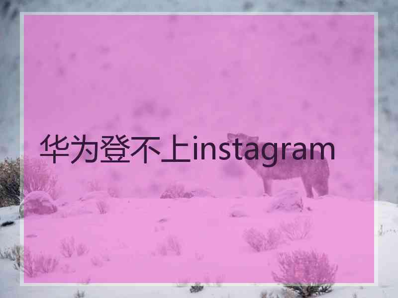 华为登不上instagram