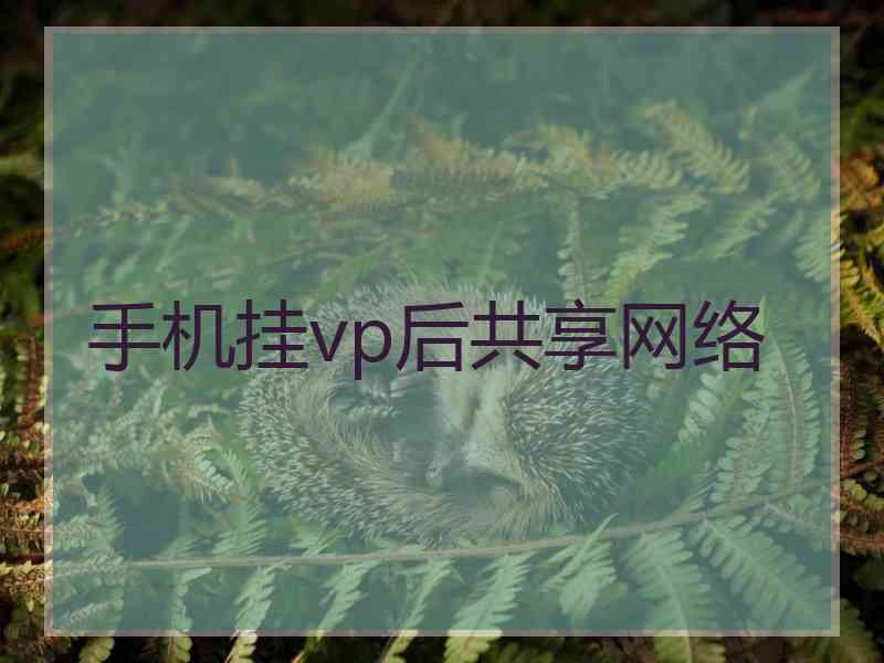 手机挂vp后共享网络