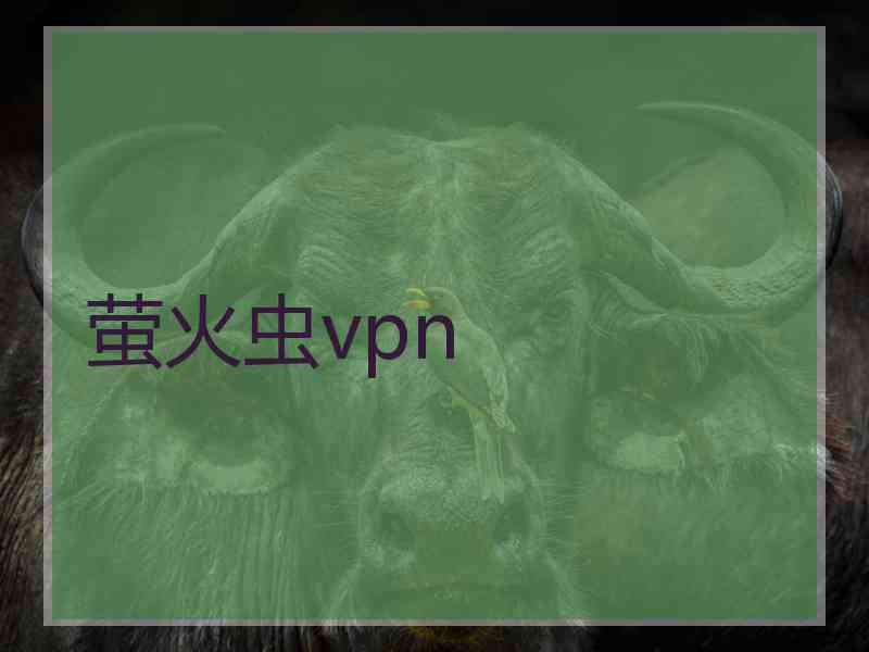 萤火虫vpn