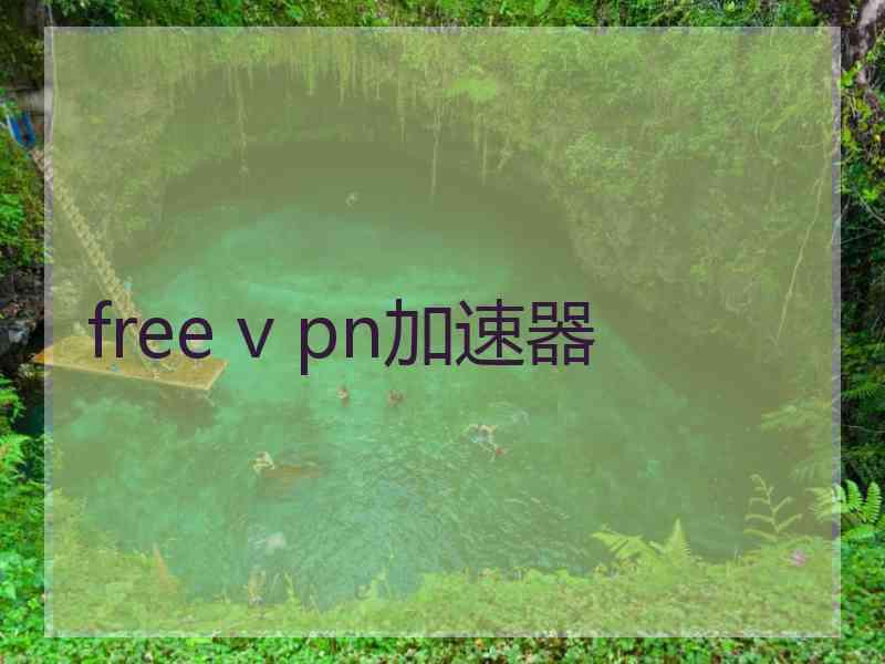 free v pn加速器