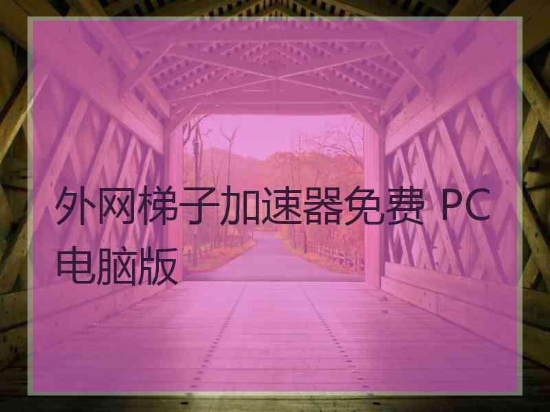 外网梯子加速器免费 PC电脑版