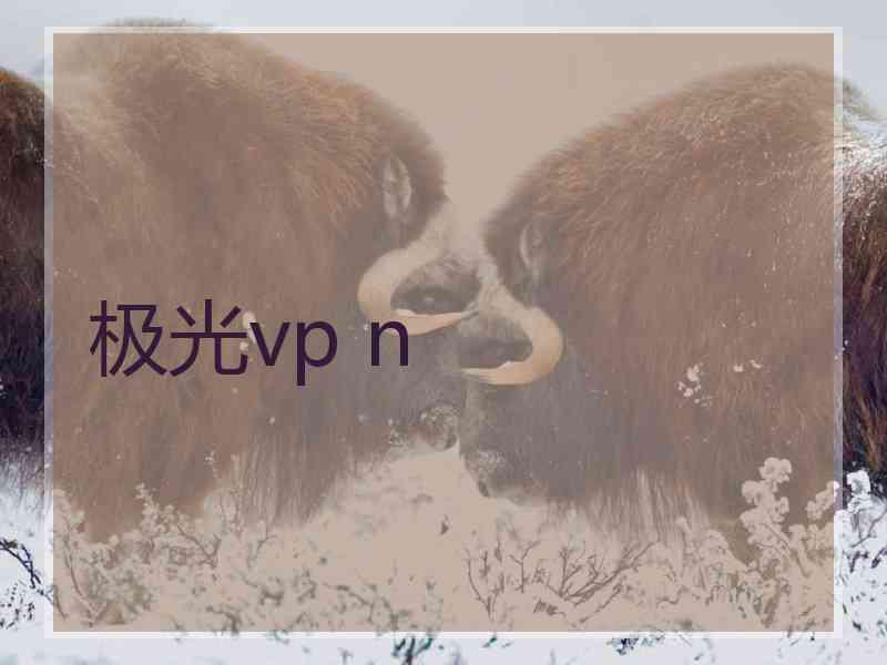 极光vp n