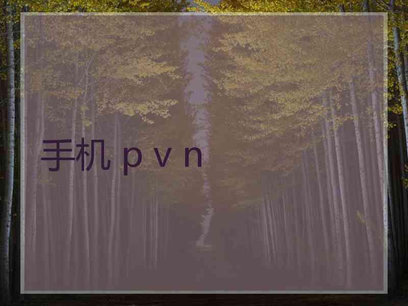 手机 p v n