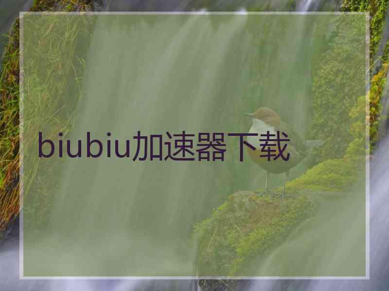 biubiu加速器下载