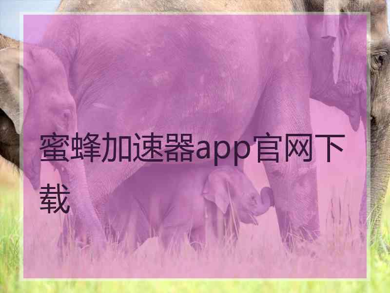 蜜蜂加速器app官网下载