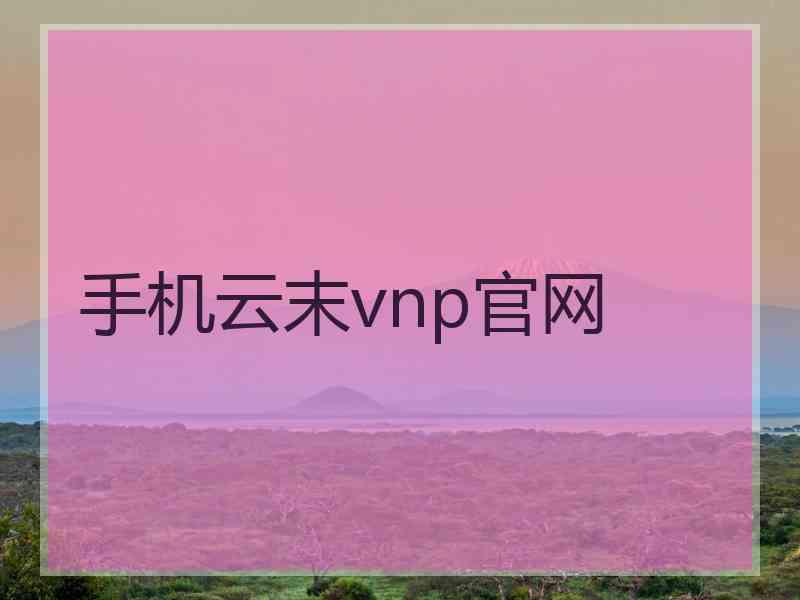 手机云末vnp官网