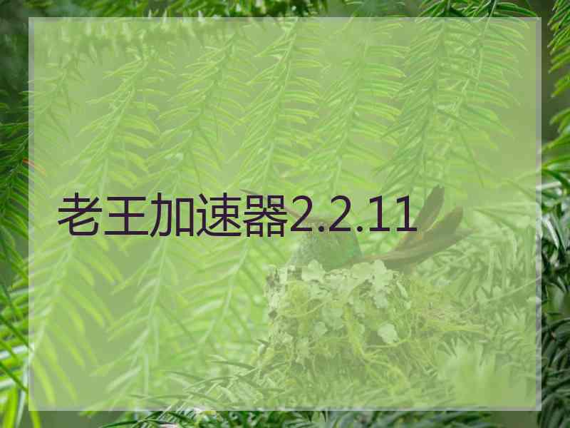 老王加速器2.2.11