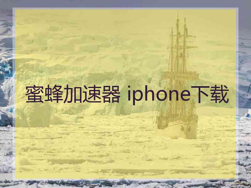 蜜蜂加速器 iphone下载