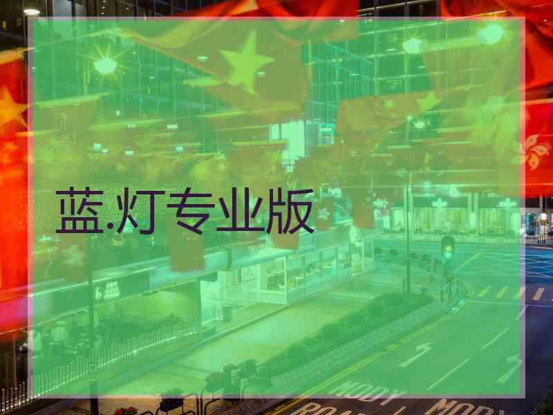 蓝.灯专业版