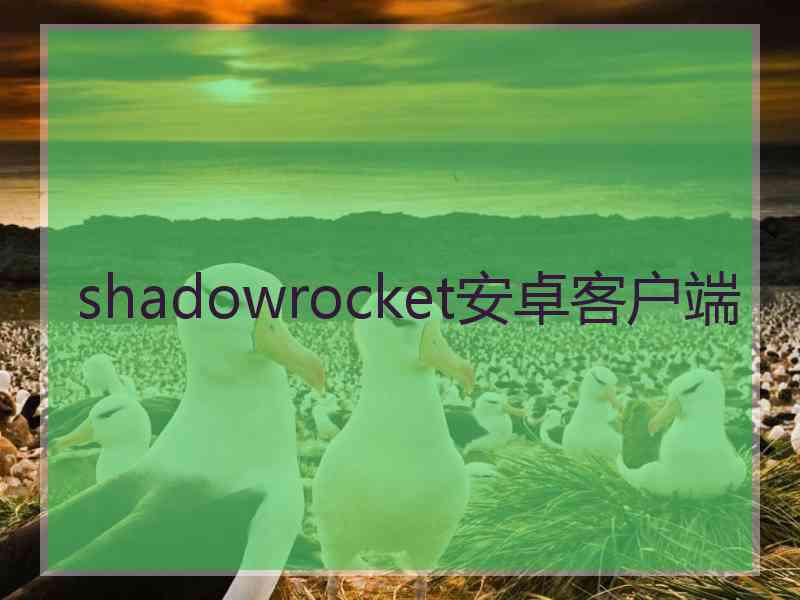 shadowrocket安卓客户端