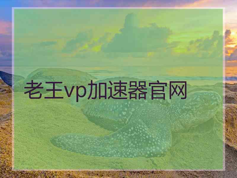 老王vp加速器官网