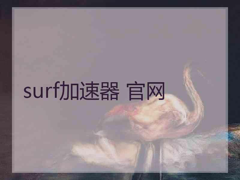 surf加速器 官网