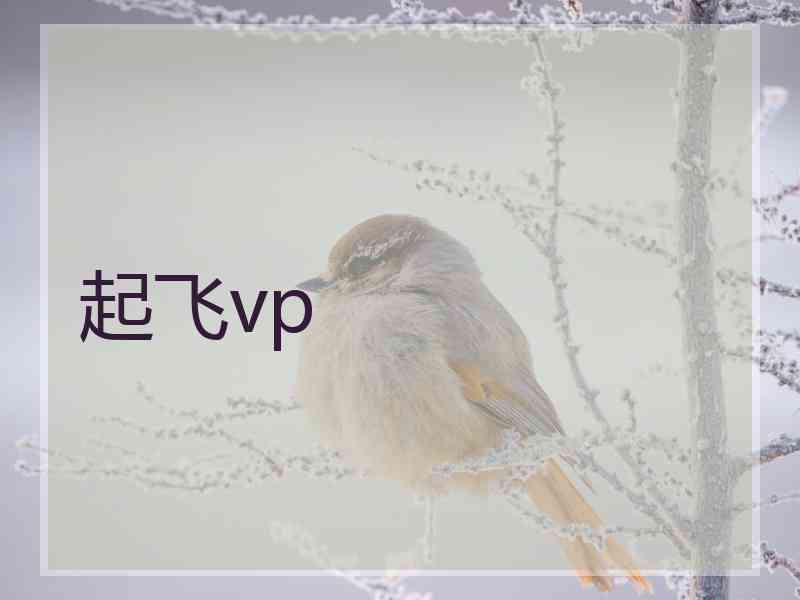 起飞vp