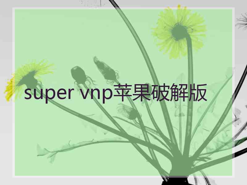 super vnp苹果破解版