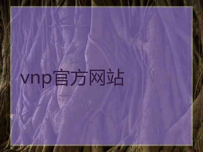 vnp官方网站