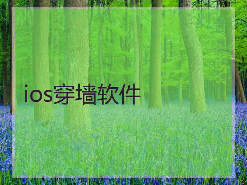 ios穿墙软件